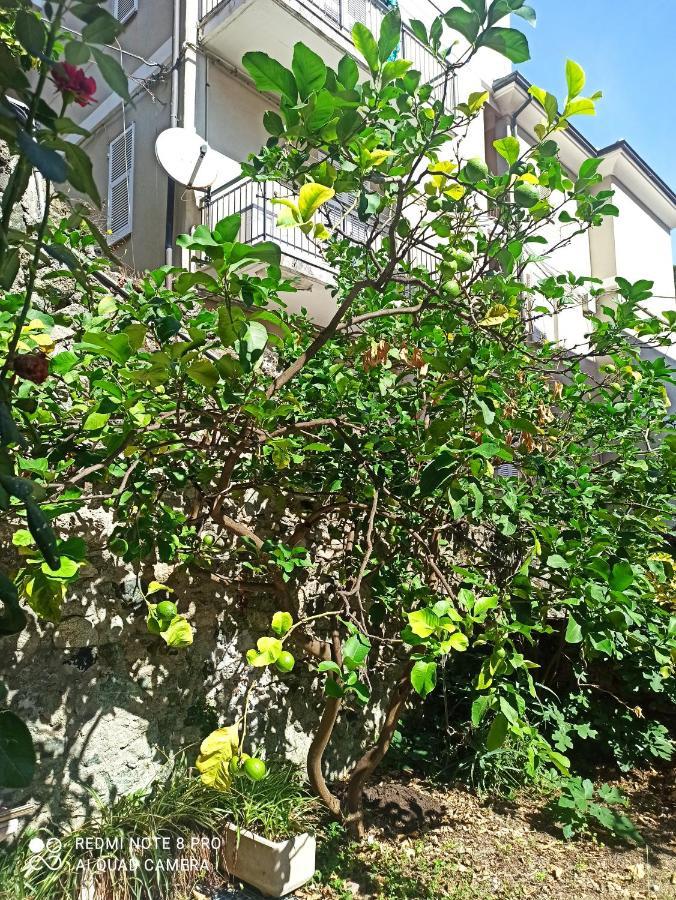 Lemons House Daire Monterosso al Mare Dış mekan fotoğraf